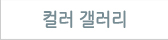 컬러갤러리